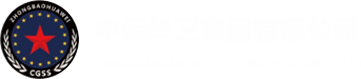 企业保安服务