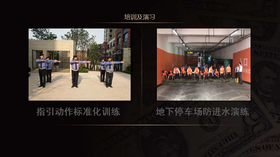 石家庄哪里有犬防公司