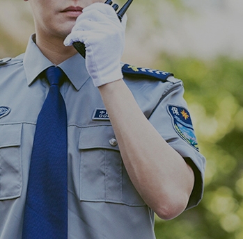 保安、巡逻、守护服务