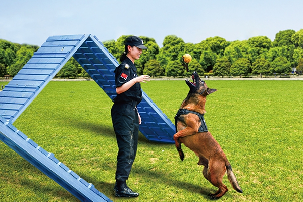 秦皇岛特种犬防服务